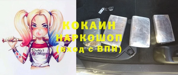 МДПВ Елизово