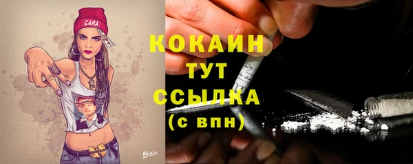ПСИЛОЦИБИНОВЫЕ ГРИБЫ Ельня