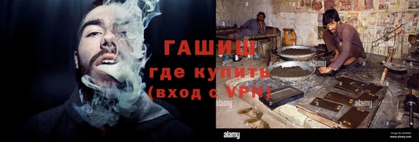 ПСИЛОЦИБИНОВЫЕ ГРИБЫ Ельня