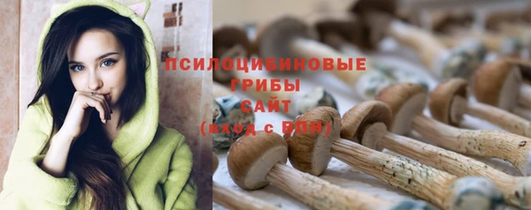 ПСИЛОЦИБИНОВЫЕ ГРИБЫ Ельня