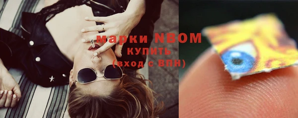 ПСИЛОЦИБИНОВЫЕ ГРИБЫ Ельня