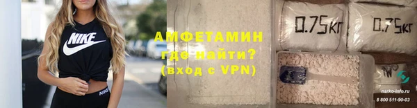 ПСИЛОЦИБИНОВЫЕ ГРИБЫ Ельня