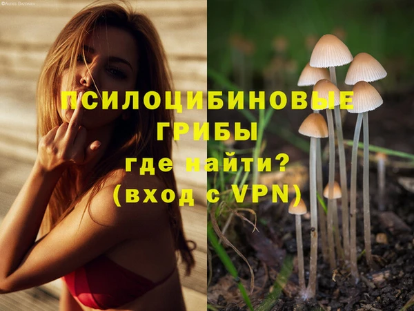 МДПВ Елабуга