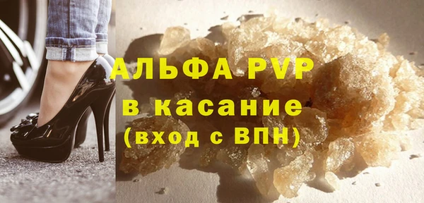 ПСИЛОЦИБИНОВЫЕ ГРИБЫ Ельня