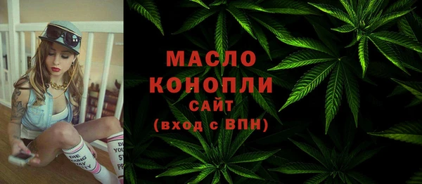 МДПВ Елабуга